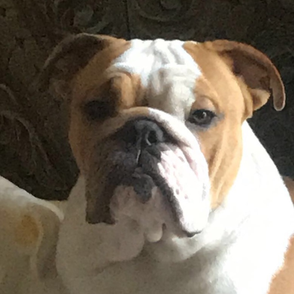 Meet your Posher, Andrew